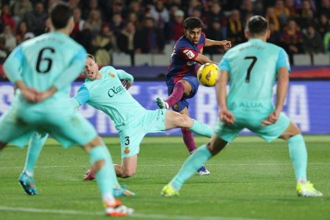 张镇麟：新赛季加盟上海从点滴做起，希望和弗格为球队做贡献（张镇麟：新赛季加盟上海，脚踏实地起步，盼与弗格携手助力球队）