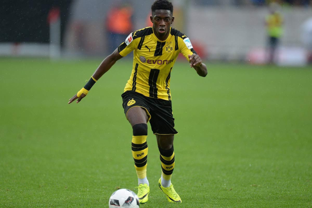 他们不仅保 他们不仅保